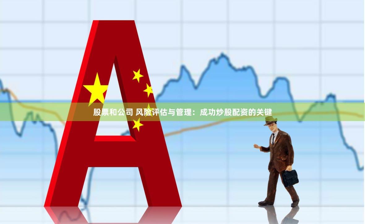 股票和公司 风险评估与管理：成功炒股配资的关键